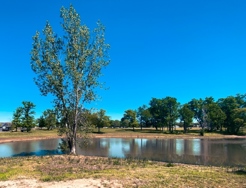 City of Carl Junction Parks & Recreation